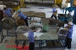 Cảnh báo về quy định cao su tự nhiên của Trung Quốc
